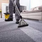 Business 1 image KANGAROO CARPET CLEANING SYDNEY Professional Carpet Cleaning in Sydney NSW