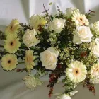 Business 3 image KENMAY FUNERAL SERVICES Funeral Service & Cemetery in Campbelltown NSW