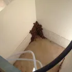 Business 3 image KENNARDS PEST CONTROL Pre Purchase Inspections in Capalaba QLD