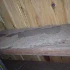 Business 5 image KENNARDS PEST CONTROL Pre Purchase Inspections in Capalaba QLD