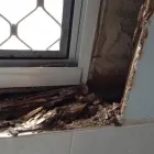 Business 1 image KENNARDS PEST CONTROL Pre Purchase Inspections in Capalaba QLD