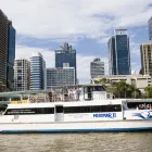 Business 2 image KOALA AND RIVER CRUISE Zoos in Brisbane QLD