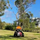 Business 8 image KOALA LANDSCAPES Lawn Mowing Services in Sydney NSW