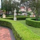 Business 10 image KOALA LANDSCAPES Lawn Mowing Services in Sydney NSW