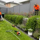 Business 11 image KOALA LANDSCAPES Lawn Mowing Services in Sydney NSW