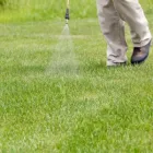 Business 13 image KOALA LANDSCAPES Lawn Mowing Services in Sydney NSW