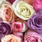 Business 1 image LA FLEURS AND CO Wreaths in Reservoir VIC