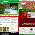 Business 3 image LEAD MAGNET Website Hosting in Adelaide SA