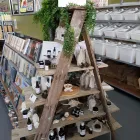 Business 3 image LEAVES OF HEALING WHOLEFOOD FARMACY Grocery Stores in Warners Bay NSW
