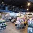 Business 2 image LED WORLD Lighting Supplies in Newtown NSW