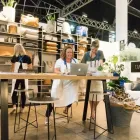 Business 2 image LIFE INSTYLE Wholesale Homewares in Chatswood NSW