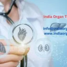 Business 1 image LIST OF KIDNEY TRANSPLANT SURGEONS IN INDIA Doctors in Brisbane QLD