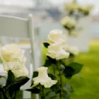 Business 2 image LOVE 2 LOVE - WEDDING & EVENT PLANNER Wedding Arrangement & Planning Services in Sydney NSW