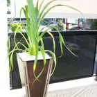 Business 5 image LUWASA INDOOR PLANT HIRE Indoor Plant Hire in Melbourne VIC