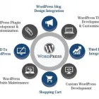 Business 4 image MACZIN - SEO COMPANY MELBOURNE Website Developers Melbourne in Werribee VIC