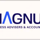Business 1 image MAGNUS BUSINESS ADVISORS AND ACCOUNTANTS CAPALABA Accountants & Auditors in Capalaba QLD