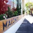 Business 7 image MALONEYS GROCER Vegan Food in Sydney NSW