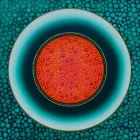 Business 31 image MANDALA DE LIGHT Wirat in Melbourne VIC