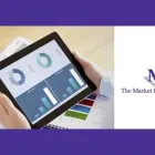 Business 3 image MARKET INTELLIGENCE CO. (THE) segmentation research in Botany NSW