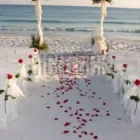 Business 12 image MARRIAGE CELEBRANTS MELBOURNE Weddings in Melbourne VIC