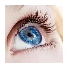 Business 1 image MARSDEN EYE LASER CLINIC - CASTLE HILL Ophthalmologist in Castle Hill NSW