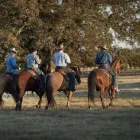 Business 6 image MARSH CARNEY SADDLERY Wrangler in Dubbo NSW
