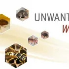 Business 1 image MASTERS PEST CONTROL GEELONG Pest Control in Geelong VIC