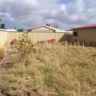 Business 11 image MATT'S DIRTY DIGGER Stump Grinding in Port Kennedy WA