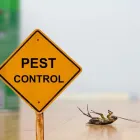 Business 1 image MAX PEST CONTROL HOBART Pest Control in Hobart TAS