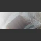 Business 2 image MEAD ROBSON STEELE Lawyer in Mount Barker SA