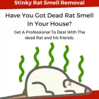 Business 7 image MEGATEC PEST CONTROL Pest Inspection in Nedlands WA