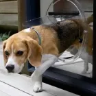 Business 5 image MELBOURNE GLASS REPAIR Pet Doors in Noble Park VIC