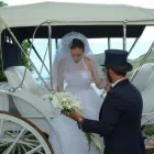 Business 3 image MELBOURNE MARRIAGE CELEBRANT Wedding Venues in Melbourne VIC