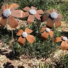 Business 6 image METAL GARDEN Gardeners in Melbourne VIC