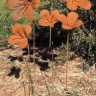 Business 8 image METAL GARDEN Gardeners in Melbourne VIC