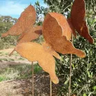 Business 11 image METAL GARDEN Gardeners in Melbourne VIC