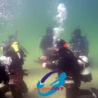 Business 1 image METRODIVE Scuba Diving in Ringwood VIC