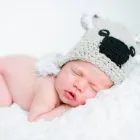 Business 6 image MIKE BELTRAMETTI PHOTOGRAPHY Photography in Perth WA