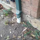 Business 5 image MILLER'S PEST CONTROL Termite Inspections in Port Kembla NSW