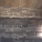 Business 1 image MILLER'S PEST CONTROL Termite Inspections in Port Kembla NSW