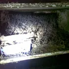 Business 8 image MILLER'S PEST CONTROL Termite Inspections in Port Kembla NSW