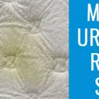 Business 2 image MISS MAID MATTRESS CLEANING PERTH Mattress Cleaning in Perth WA