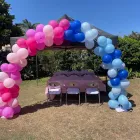 Business 1 image MOJO OUTDOOR HIRE Weddings in Bray Park QLD