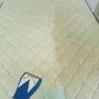 Business 5 image MONSTER CLEAN Upholstery in Ringwood VIC
