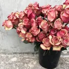 Business 7 image MORDIALLOC FLORIST Wholesale Florist in Mordialloc VIC