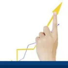 Business 4 image MORGANS Stock Broker in Chatswood NSW