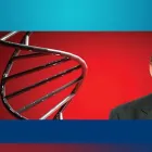 Business 8 image MORGANS Stock Broker in Chatswood NSW