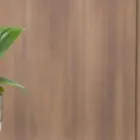 Business 1 image MORPHETTSTFAMILYDENTAL@GMAIL.COM Dentist in Mount Barker SA