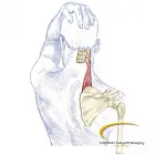 Business 21 image MOTION MYOTHERAPY NORTHCOTE REMEDIAL MASSAGE MELBOURNE Remedial Massage Therapy in Northcote VIC