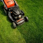 Business 6 image MR LAWN MAN Lawn Mowing Services in Cabramatta NSW